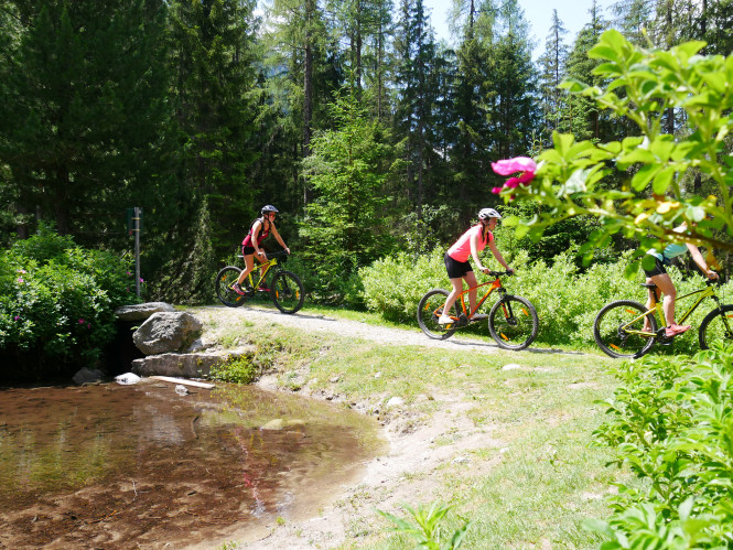 🟡 You are a beginner in mountain biking ?