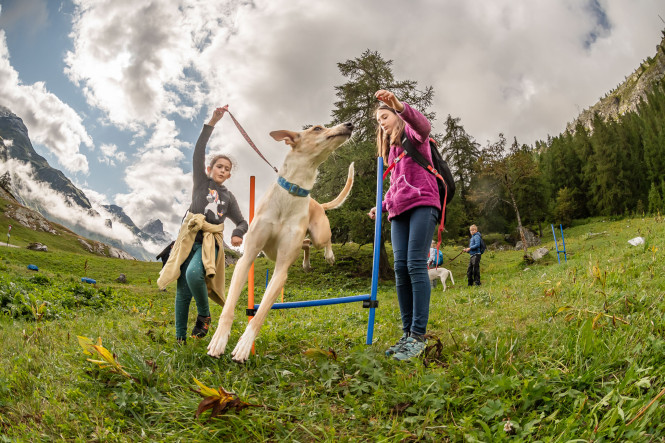 activités montagnes stations enfants été
