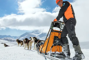 Baptême Chiens de traîneaux Bessans et Val Cenis