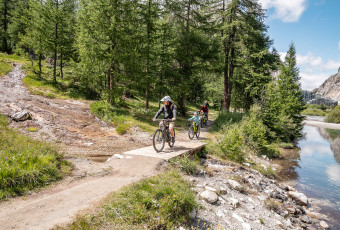 E-BIKE | Adults & children (more than 8 years)